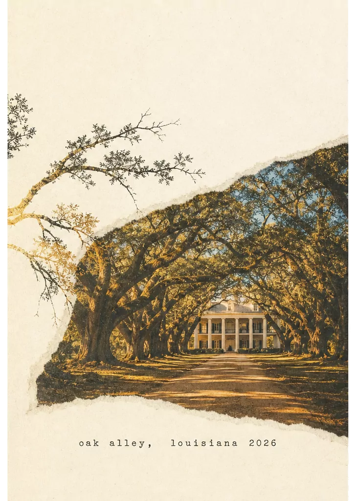 Torn-paper postcard of an oak-lined drive. Caption: oak alley, louisiana 2026.